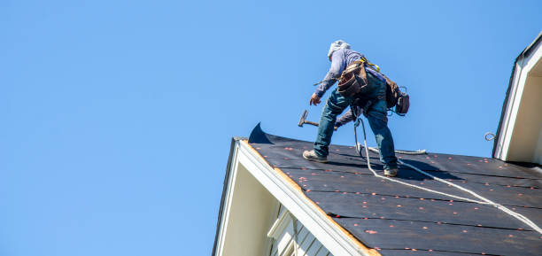 Best Roof Waterproofing Services  in Shenandoah Junction, WV